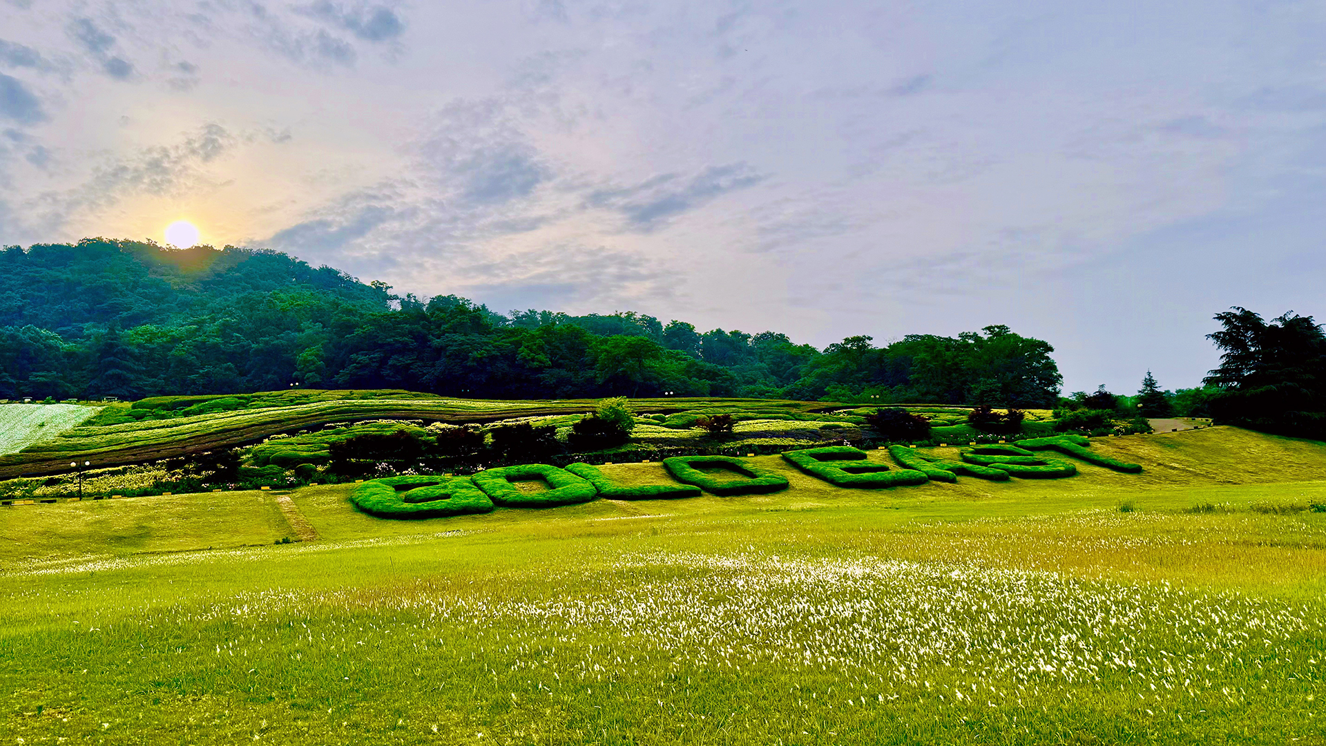 f22013e4-d4bd-40e1-88a3-35dea2759f83.jpg f22013e4-d4bd-40e1-88a3-35dea2759f83.jpg